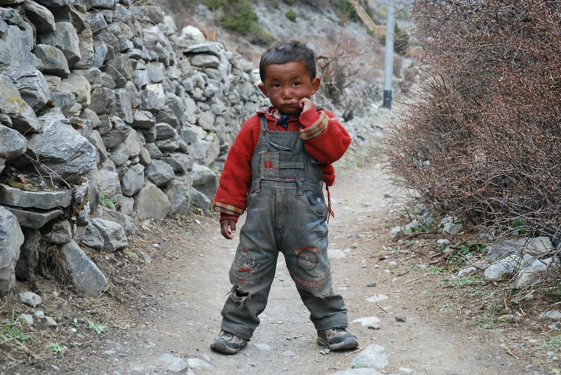 Trekker on the Annapurna Circuit trail