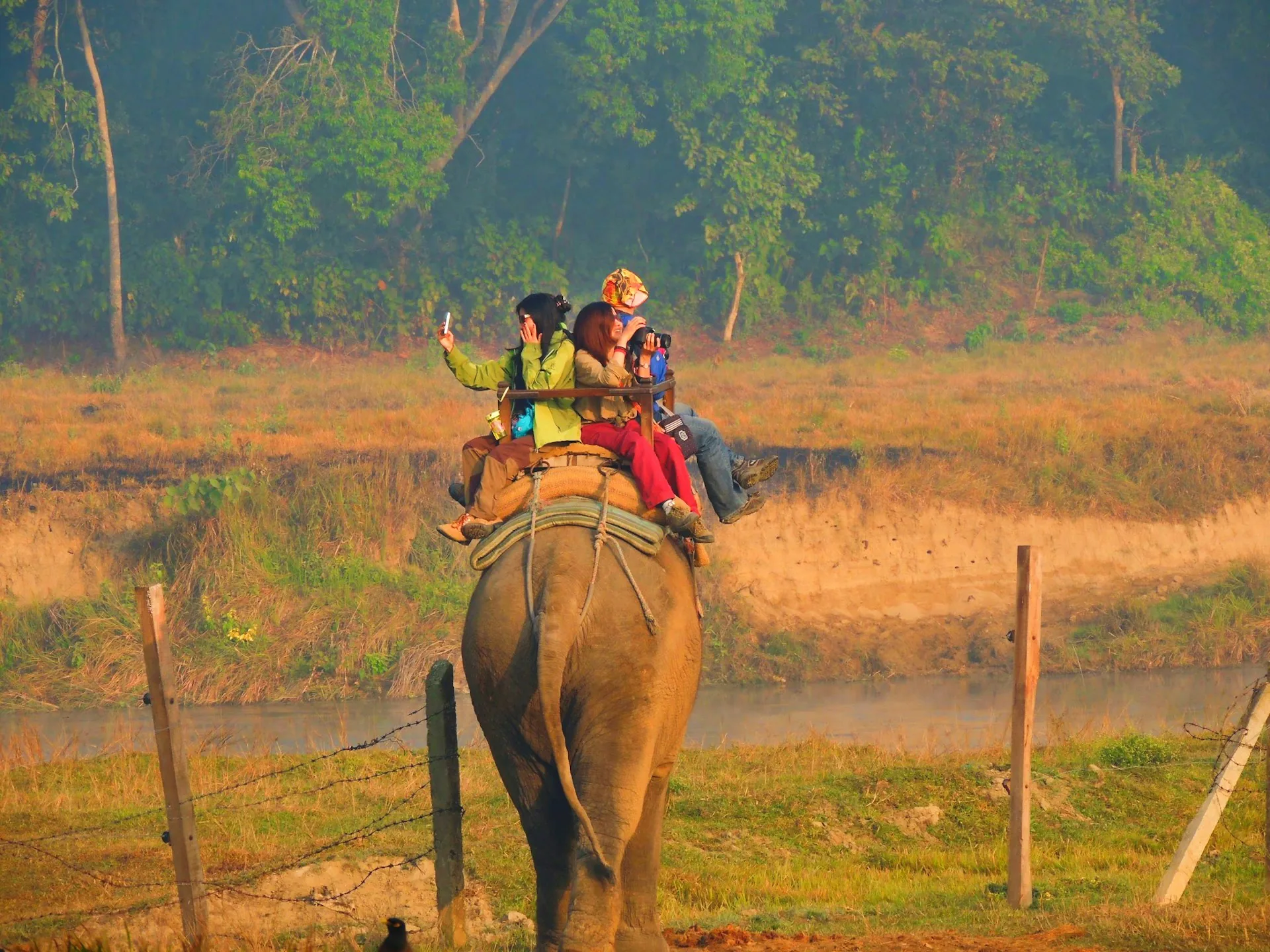 Jungle safari in a Nepal national park