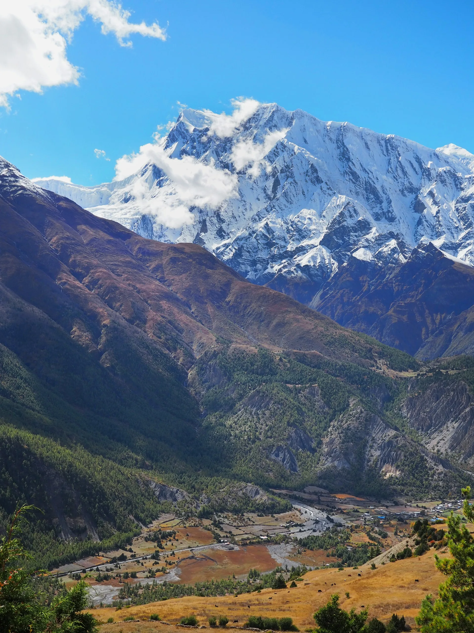Annapurna valley view from Khopra Ridge