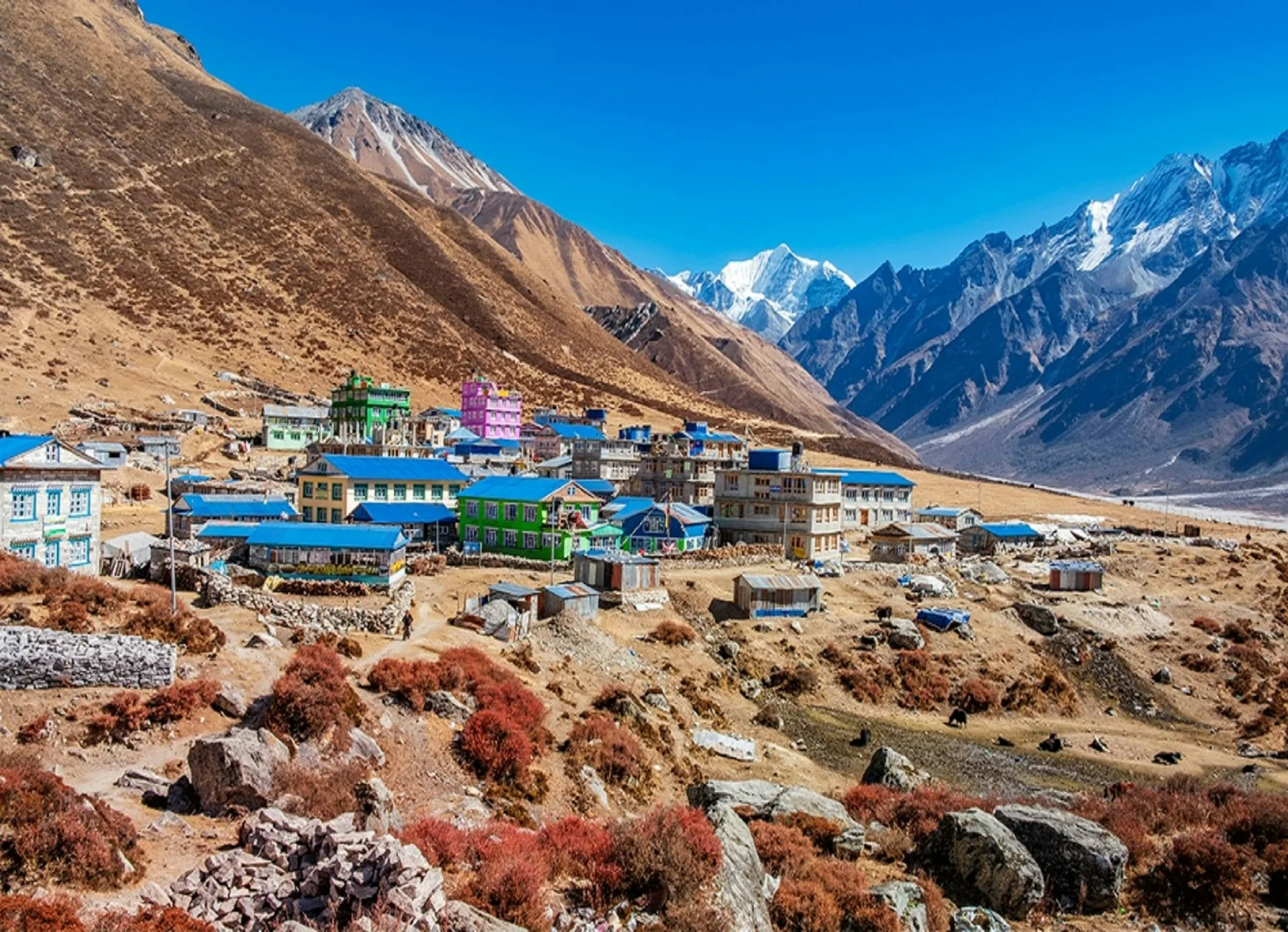 Traditional Tamang village in Langtang